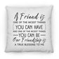 Gift For Friend | A Friend Is Pillow